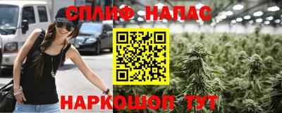СК Наро-Фоминск