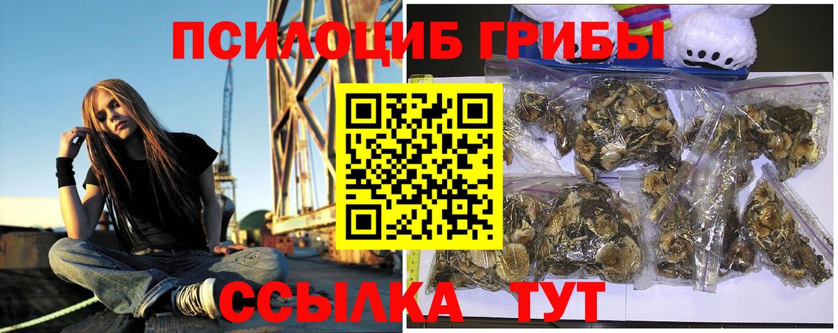 Галлюциногенные грибы Psilocybe  Вход с VPN  Тольятти 